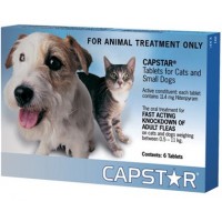 capstar for kittens