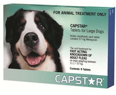 capstar safe for puppies