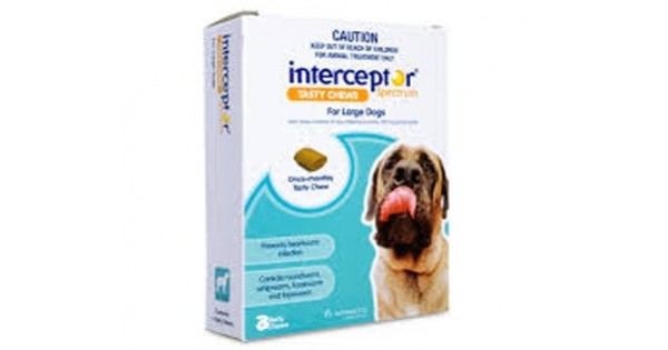 Interceptor spectrum blue hot sale for large dogs