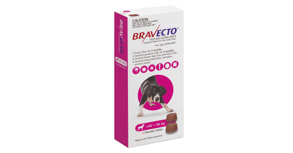 bravecto pregnant dogs