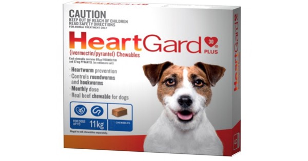 Heartgard Plus Sml Dogs - Dogs & Puppies