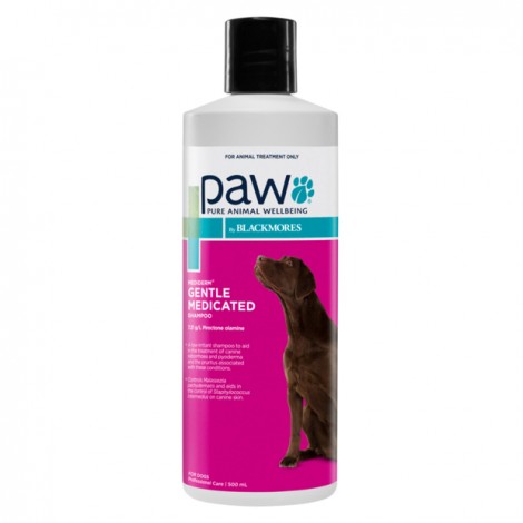 PAW MediDerm Gentle Medicated Shampoo 4floz (200mls)