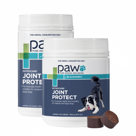 PAW Osteocare Joint Protect Chews