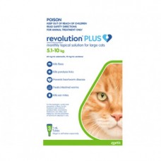 Revolution Plus Large Cat Green